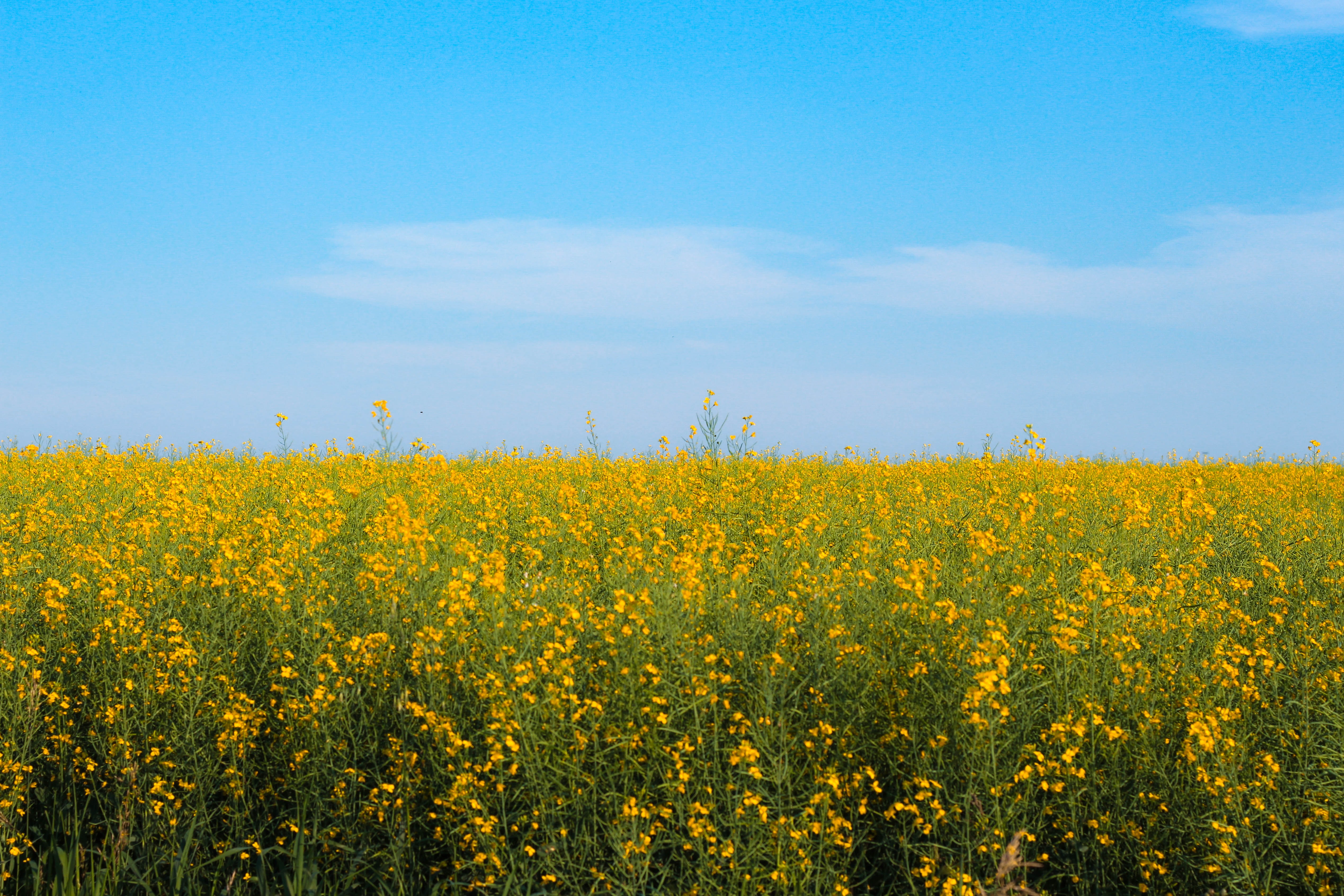 Ag-West Bio Supports Future Agri-Food Leaders