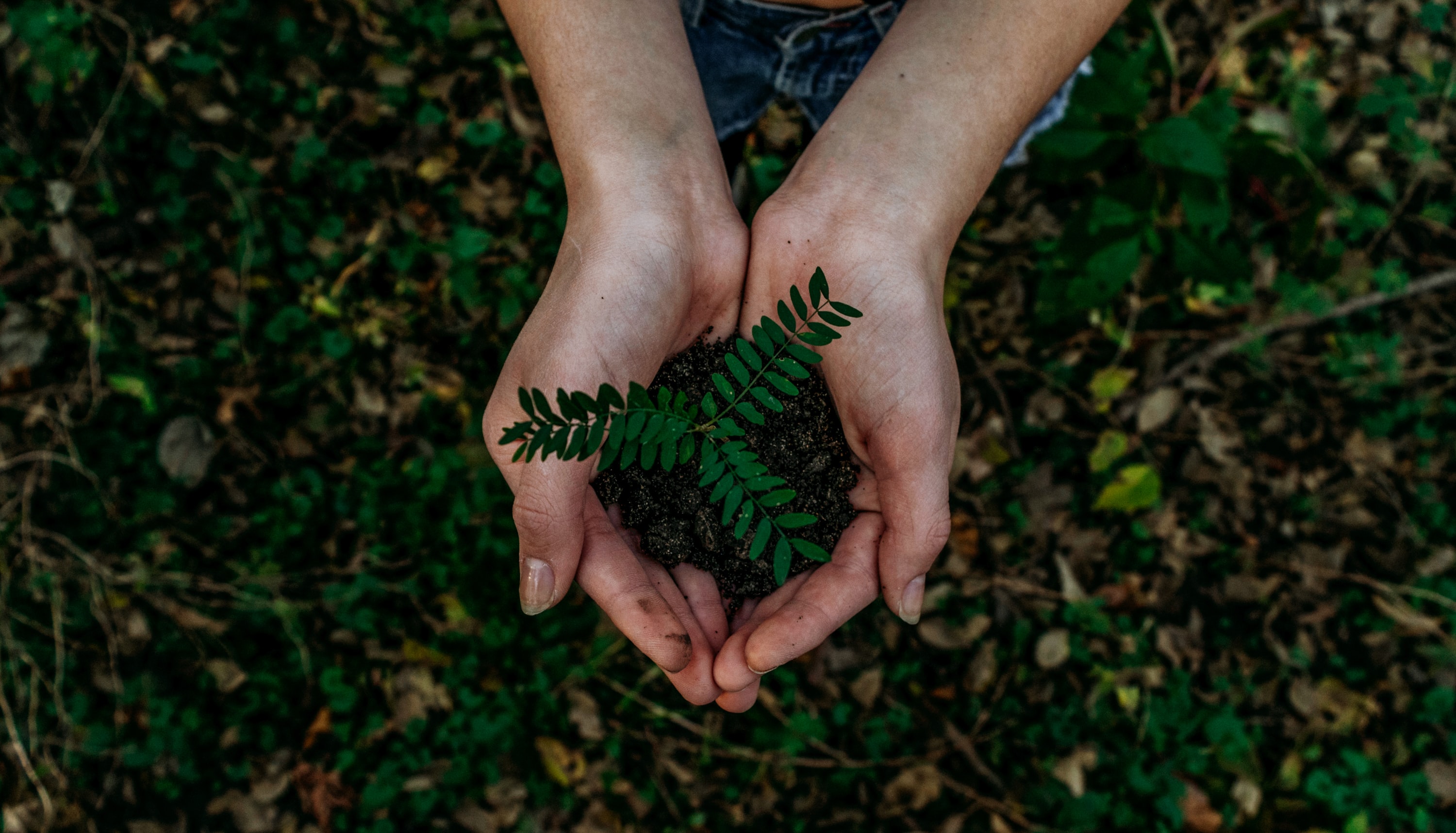 Innovation Place Tenants Celebrate Earth Day